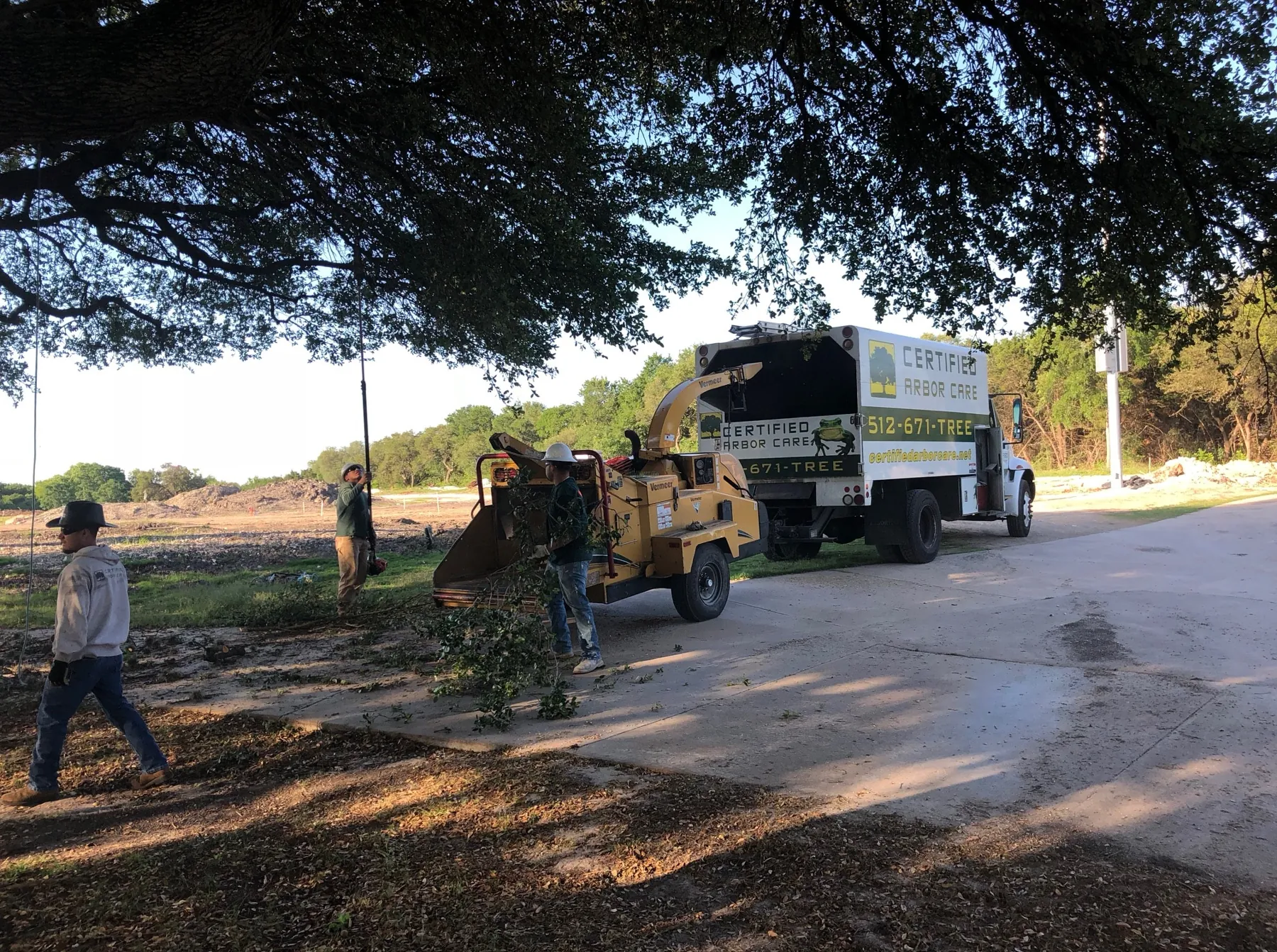 Tree service in Austin, Texas