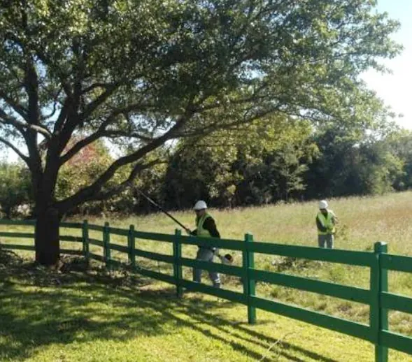 Certified Arbor Care arborists evaluating trees on an estate